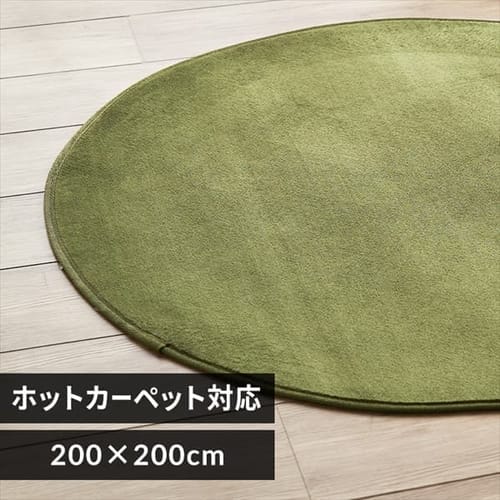 ラグ フランネル 円形 200×200cm FNR-RCR-2020 グリーン _0