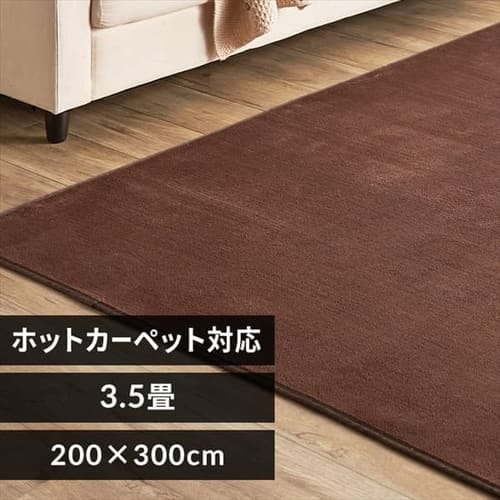 ラグ フランネル 200×300cm FNR-RC-2030 ブラウン 7151789 │アイリス