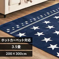 O tl 200~300cm FNR-RC-2030 X^[u[