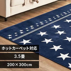 ラグ フランネルラグ 抗菌防臭 防ダニ加工 200cm×300cm スターブルー FNR-RC-2030