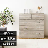 `FXg ؐ 4i WCS-9090 I[N