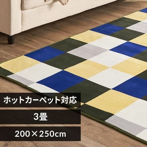 ���O �t�����l�� 200�~250cm FNR-RC-2025 �X�N�G�A�~�O���[��_0