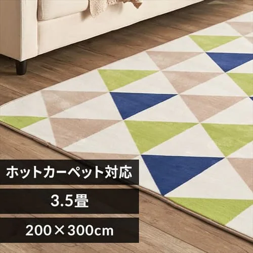 ラグ フランネルラグ 抗菌防臭 防ダニ加工 200cm×300cm トライアングルグリーン FNR-RC-2030_0