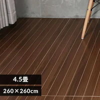 Ebht[OJ[ybg 4.5 ]ˊ EHibg