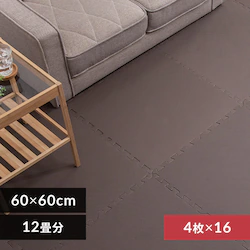 PEWCg}bgi60~60~1j 16Zbgi64j PEJTM-601 uE