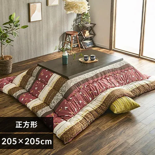 |zc 205~205 [Y ysz_0