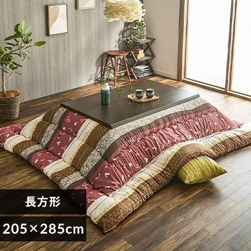 |zc 205~285 [Y _0