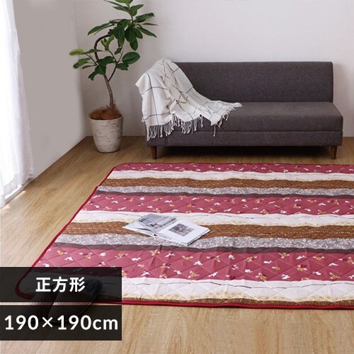 ~zc 190~190 [Y _0