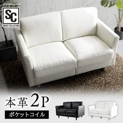 ポケットコイル本革ソファ 2P PLSF-2 ブラック_0