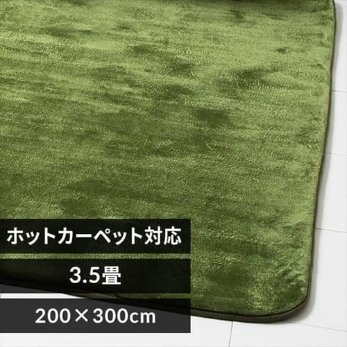 ＜アイリスプラザ＞ 高反発ラグ 200×300cm 全4色