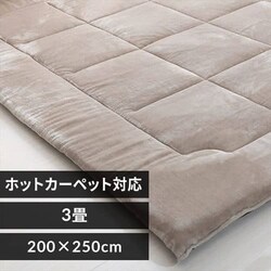 ���O �t�����l�� ���Ɍ� 200�~250cm �O���[ 