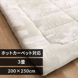 O tl Ɍ 200~250cm zCg 