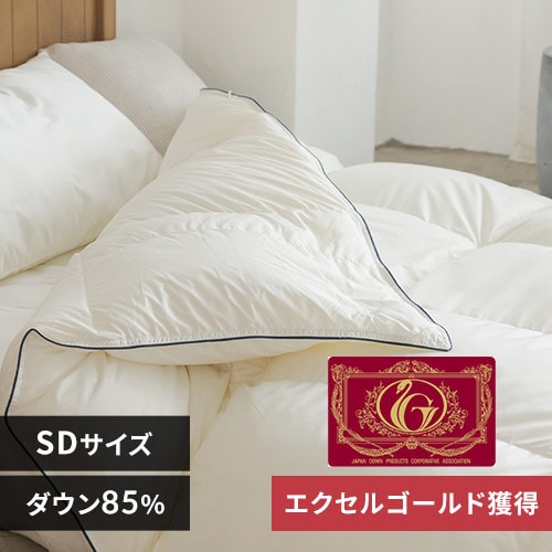 ＜アイリスプラザ＞ WDD85％超軽量 エクセル SD アイボリー 10DSW2219-85W0.8IR画像