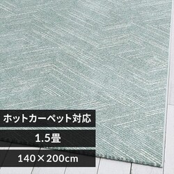 ���O �E�B���g���D���O 140cm�~200cm �w�����{�[���� �u���[