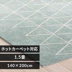 ���O �E�B���g���D���O 140cm�~200cm �x�j�����������C���� �u���[