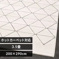 ���O �E�B���g���D���O 200cm�~290cm �x�j�����������C���� �A�C�{���[