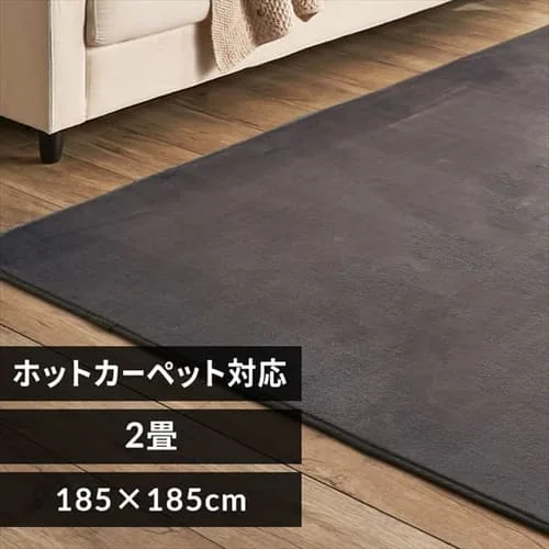 ���O �t�����l�����O �R�ۖh�L �h�_�j���H 185cm�~185cm 2�� �_�[�N�O���[ FNR-RC-1818_0