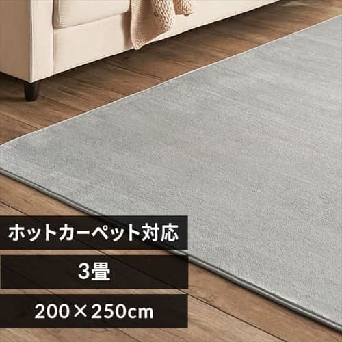 ラグ フランネル 200×250cm FNR-RC-2025 ライトグレー 7254809