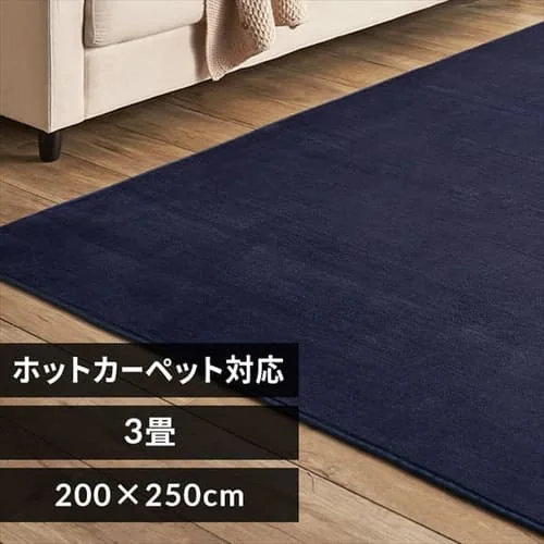 フランネルラグ 200×250cm 全10色【プラザセレクト】_0