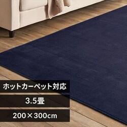 ���O �t�����l�����O �R�ۖh�L �h�_�j���H 200cm�~300cm �l�C�r�[ FNR-RC-2030