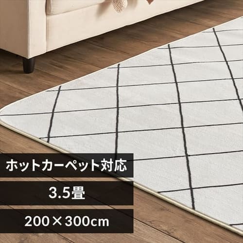 ラグ フランネル 200×300cm FNR-RC-2030 ダイヤホワイト 7254818