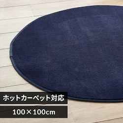 ���O �t�����l�����O �~�` �R�ۖh�L �h�_�j���H 100cm�~100cm �l�C�r�[ FNR-RCR-1010