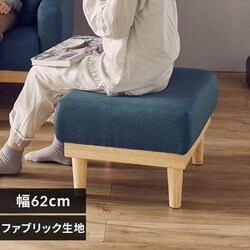 �I�b�g�}�� NDS-OT �C���f�B�S�u���[�iID�j