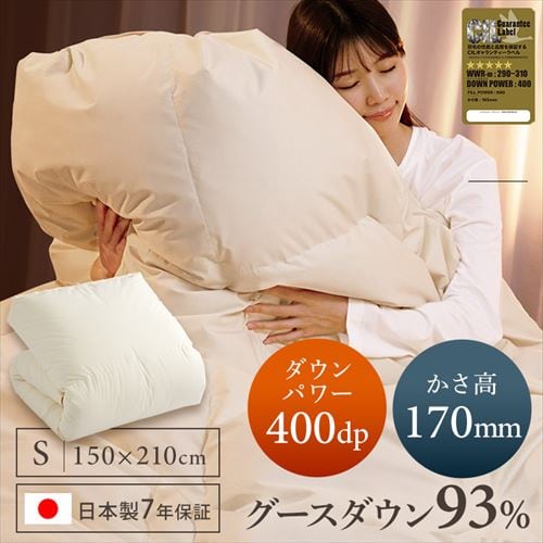 Hѕzc VO nK[Y GGD93% 400dp 1.0kg x[W yz ysz