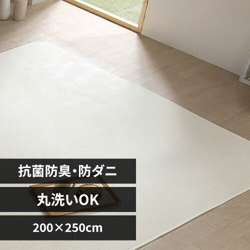 O \tgpC 200~250cm ORG-SP2025 AC{[_0