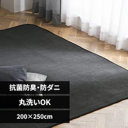 O \tgpC 200~250cm ORG-SP2025 _[NO[