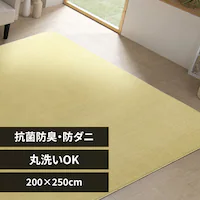 O \tgpC 200~250cm ORG-SP2025 }X^[h