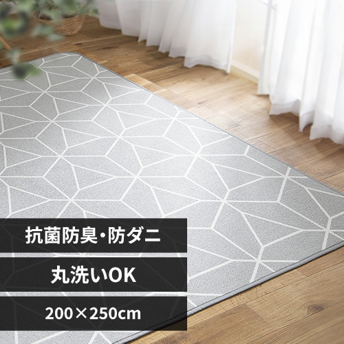 ラグ ソフトパイル 200×250cm ORG-SP2025 アイボリー 7261404