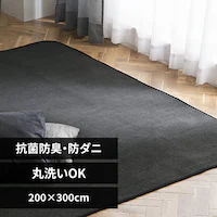 O \tgpC 200~300cm ORG-SP2030 _[NO[