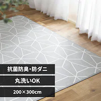 ���O �\�t�g�p�C�����O �R�ۖh�L �h�_�j���H �ې􂢉\ 200cm�~300cm �􉽊w���C�g�O���[ ORG-SP2030