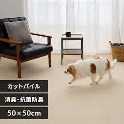 消臭タイルカーペット 50×50 TKP-SS50 ミックスアイボリー
