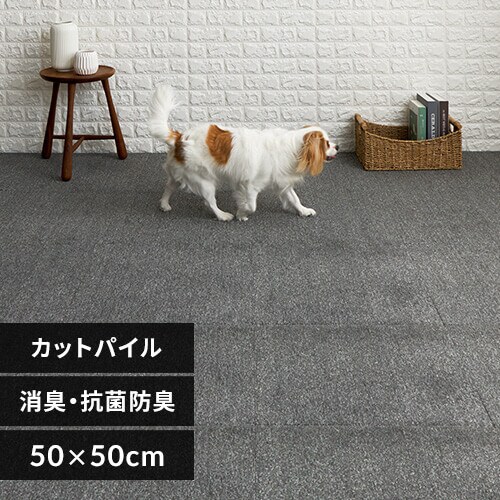 L^CJ[ybg 50~50 TKP-SS50 ~bNX`R[O[_0