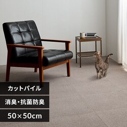 ���L�^�C���J�[�y�b�g 50�~50 TKP-SS50 �~�b�N�X�x�[�W��