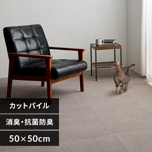 L^CJ[ybg 50~50 TKP-SS50 ~bNXx[W_0