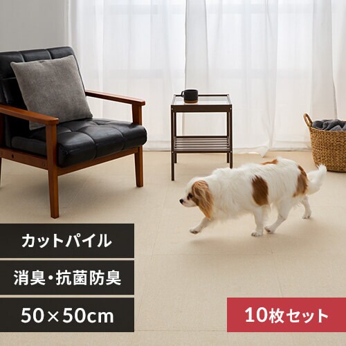 �y10���z���L�^�C���J�[�y�b�g 50�~50 TKP-SS50 �~�b�N�X�A�C�{���[_0