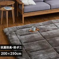 ���O ���Ɍ����O 5�w�\�� �Ɍ�6cm �R�ہE�h�L �h�_�j���H 200cm�~250cm ���J�u���E��