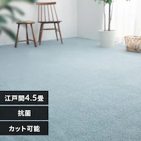 �~�l�J�[�y�b�g �o���^ �]�ˊ� 4.5�� 350123745 �u���[