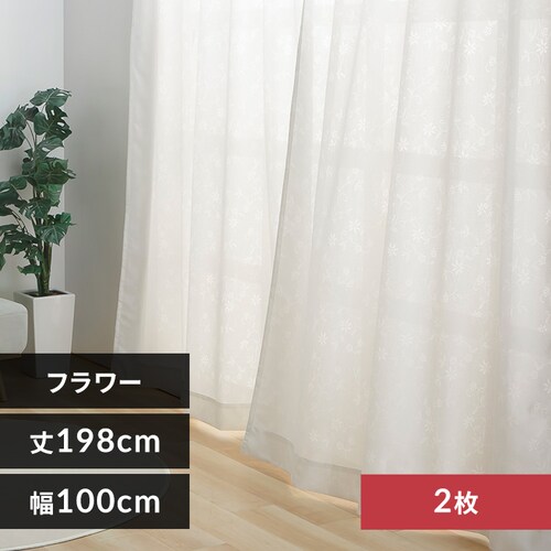 UV�J�b�g���[�X 3763 100�~198cm�^�Q���g�t�����[�y�v���U�Z���N�g�z_0