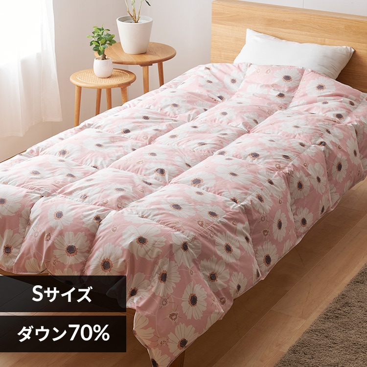 �_�E���P�b�g DK-25012 �s���N�y���Ԏw��s�z�y����s�z�y�����s�z�y�v���U�Z���N�g�z