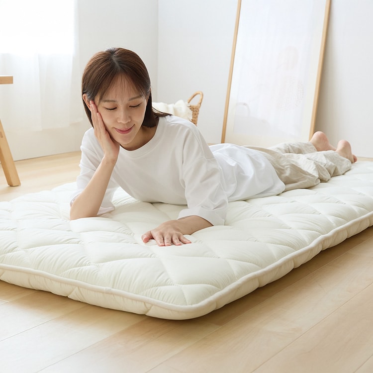 �ӂƂ�t�@�N�g���[ ���T�|�[�g�o�����X�O�w�~���z�c SL�A�C�{���[ �y�v���U�Z���N�g�z