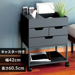 �Y�ꕨ�h�~���S�� RSP-WG1 �l�C�r�[