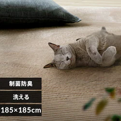 ���ۖh�L �Ɍ��W���K�[�h�t�����l�����O 185�~185cm ���J