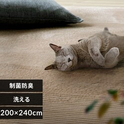 ���ۖh�L �Ɍ��W���K�[�h�t�����l�����O 200�~240cm ���J���y�\��z9�����{���딭���\��