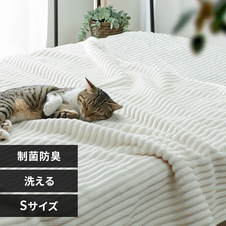 �ǉ����i�T���l�C��