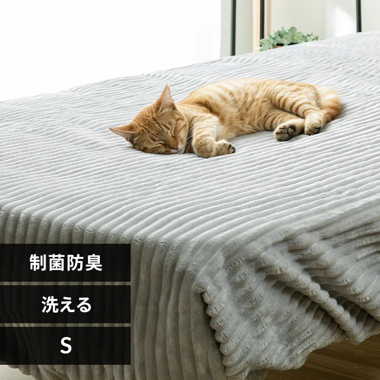�ǉ����i�T���l�C��