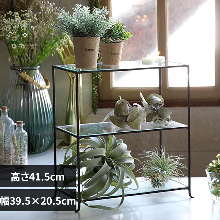 �W���Z�t�A�C�A�� �R�i�K���X�f�B�X�v���C�� ���C�h �u���b�N DTFF9050SW